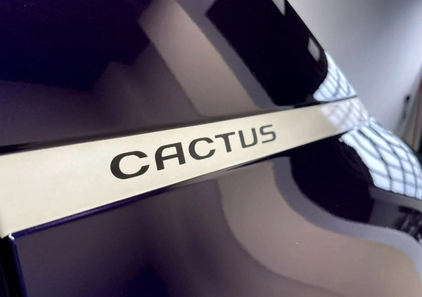 Citroen C4 Cactus cena 46600 przebieg: 100000, rok produkcji 2015 z Tolkmicko małe 742